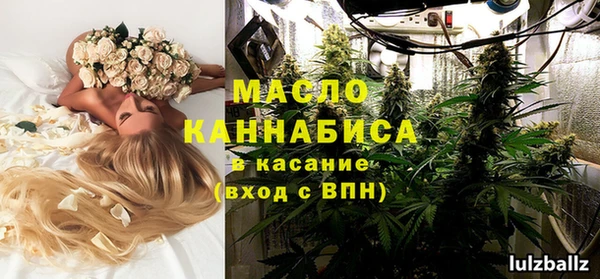 ПСИЛОЦИБИНОВЫЕ ГРИБЫ Арсеньев