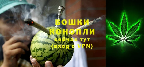 ПСИЛОЦИБИНОВЫЕ ГРИБЫ Арсеньев