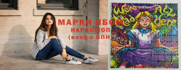 ПСИЛОЦИБИНОВЫЕ ГРИБЫ Арсеньев