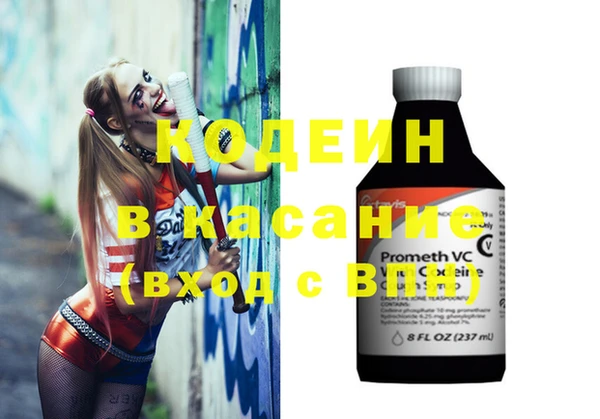 ПСИЛОЦИБИНОВЫЕ ГРИБЫ Арсеньев