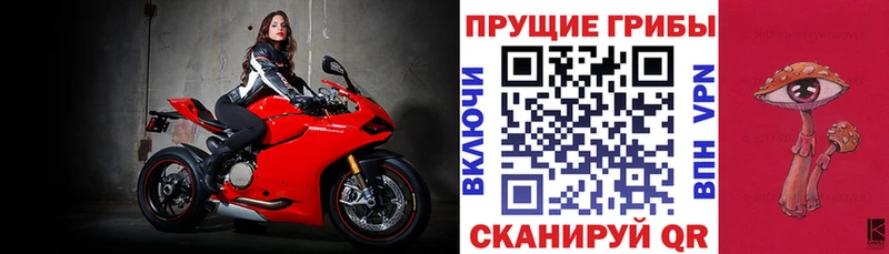 darknet Telegram  Салехард  Галлюциногенные грибы MAGIC MUSHROOMS  закладка 